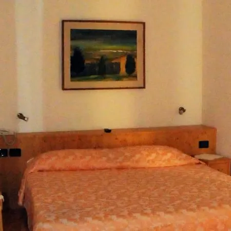 Rosa Wellness & Szálloda Vigo di Fassa